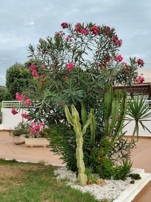 Spacious And Luxurious Apartment Mojácar Εξωτερικό φωτογραφία